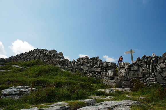 D70_062292004-08-25_01
