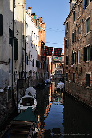 D300_45774.jpg