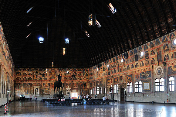D300_47517.jpg