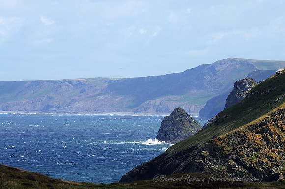 D300_100887