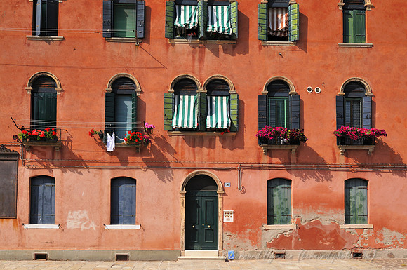 D300_44875.jpg