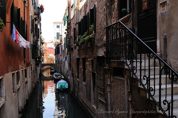 D300_45401.jpg