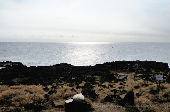 D300_92357