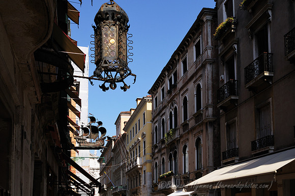 D300_44600.jpg