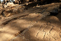 D300_92184