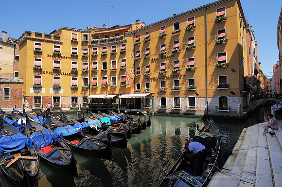 D300_45529.jpg