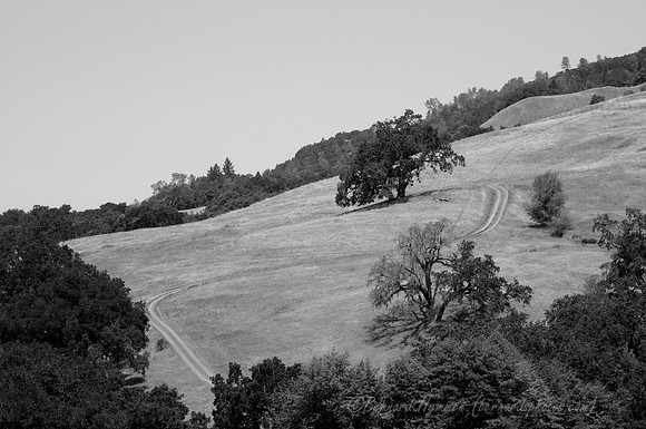 D300_32060