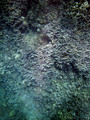 SD800_58603