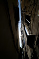 D300_44719.jpg