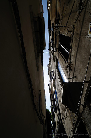 D300_44719.jpg