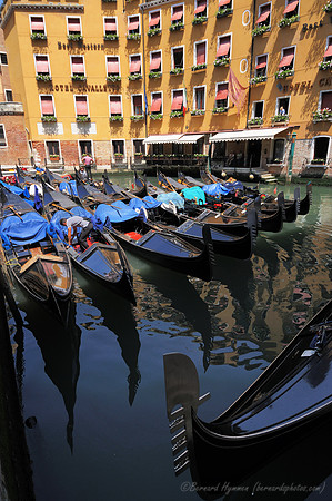D300_45526.jpg