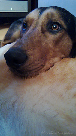 WP_20140311_007