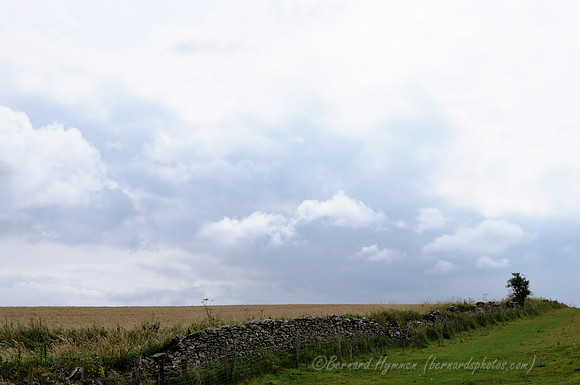 D300_99034