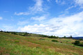 D300_96301