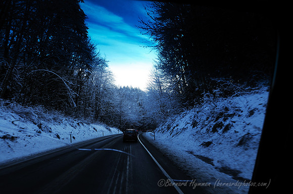 D300_59548