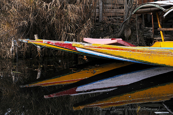 D300_70320