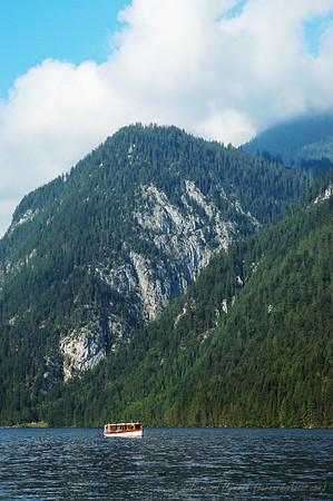 D70_18503