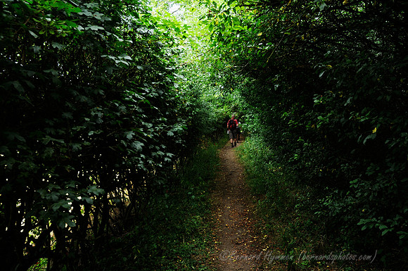 D300_99256