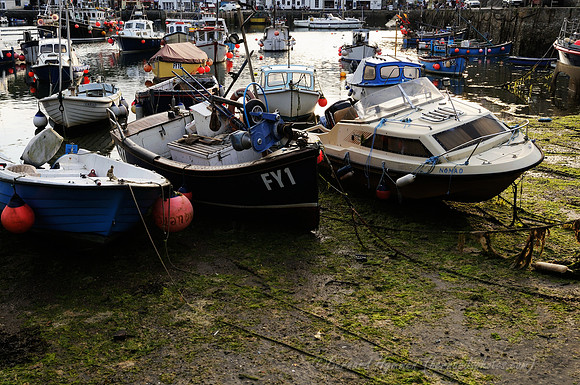 D300_100401