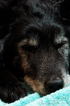 D70_21834.jpg