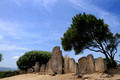 D300_47257.jpg
