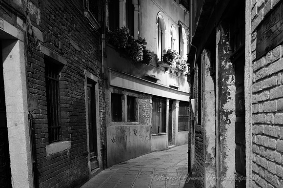 D300_45383.jpg