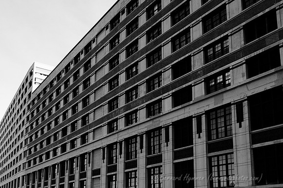 D300_64327