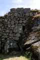 D300_47309.jpg