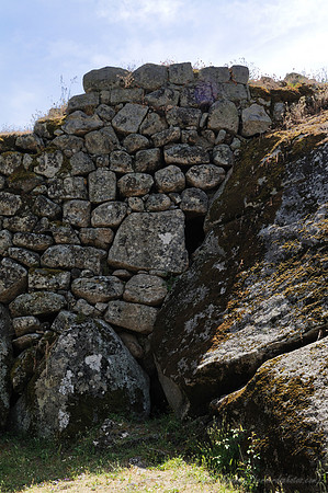 D300_47309.jpg