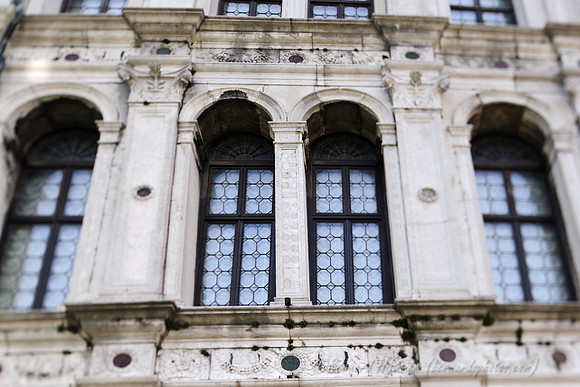 D300_44477.jpg