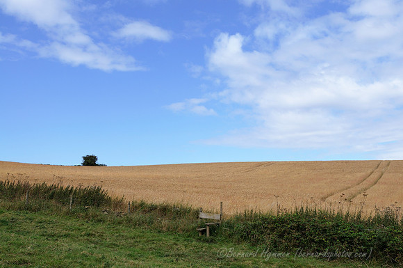 D300_99628