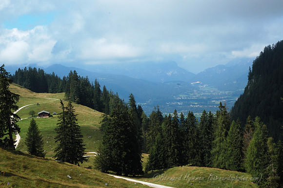 D70_18442