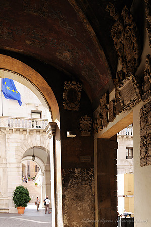 D300_47556.jpg