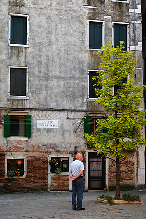 D300_45776.jpg
