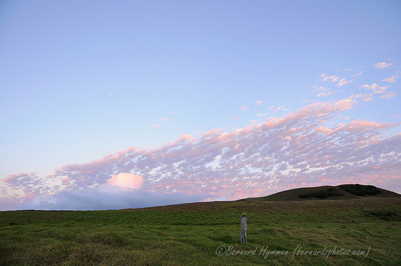 D300_92247