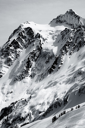 D300_54769
