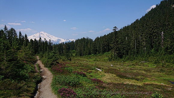 DSC_0044 2