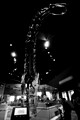 D300_64213