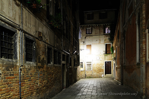 D300_45378.jpg