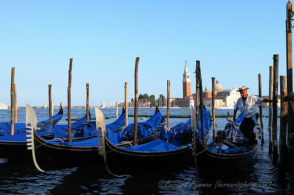 D300_45294.jpg