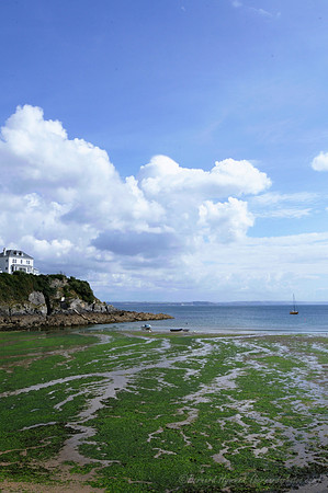 D300_100567
