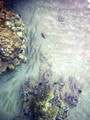 SD800_58209