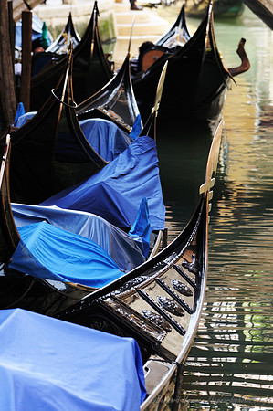 D300_44517.jpg