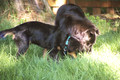 9QUV_015.JPG