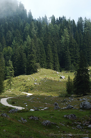 D70_18437