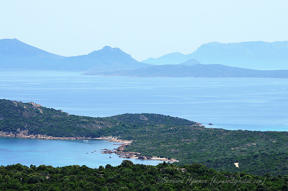 D300_45888.jpg