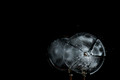 D70_21401