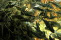 D300_64574