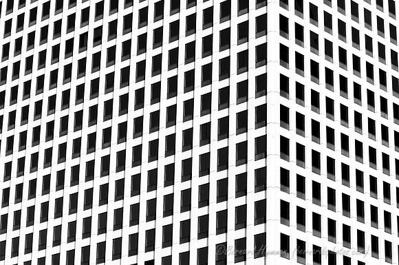 D300_64394