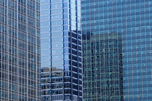 D300_64405